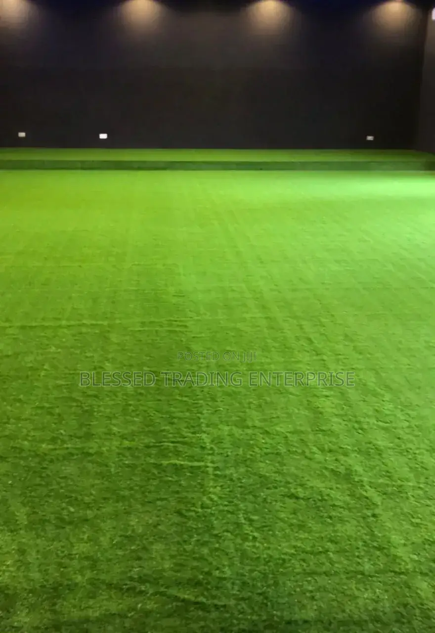 Carpet Grass