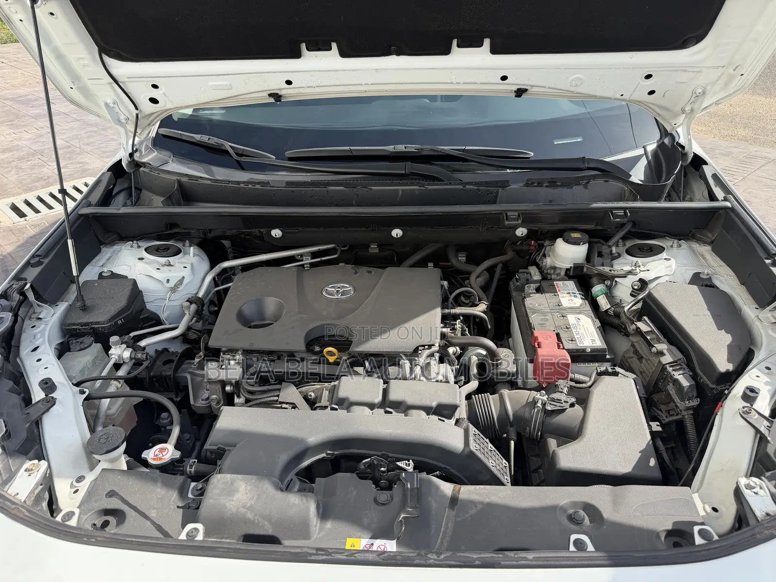 Toyota RAV4 XLE AWD 2023 White