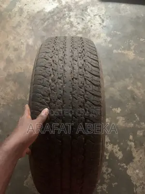 Dunlop Tires