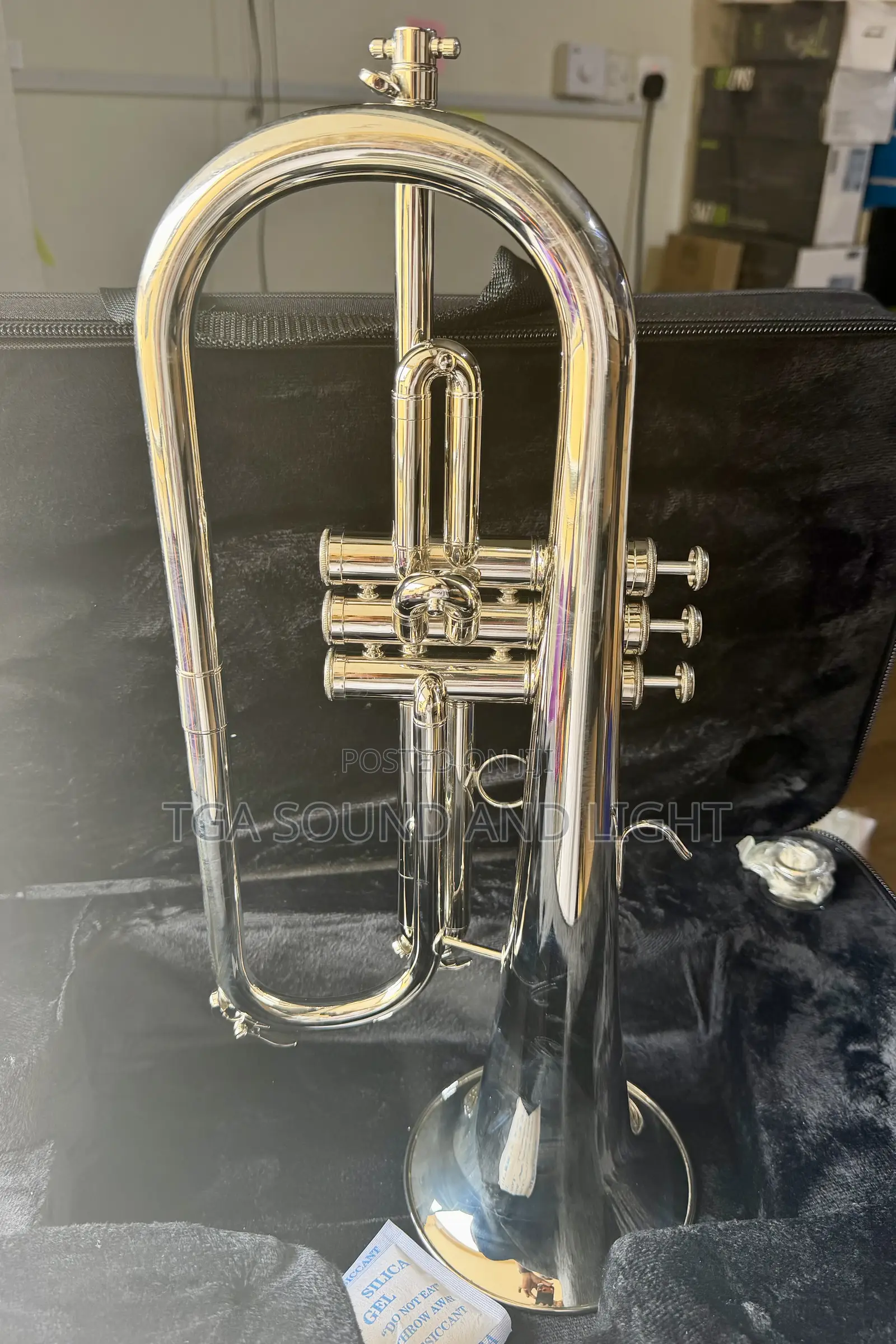 Titanic Usa Yfh-631gs Bb Flugelhorn - Silver