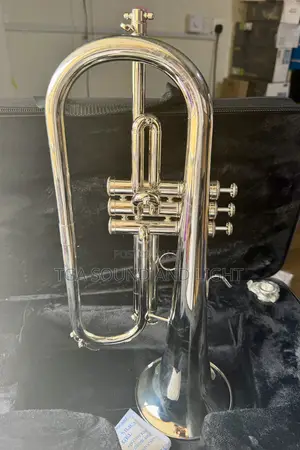 Titanic Usa Yfh-631gs Bb Flugelhorn - Silver