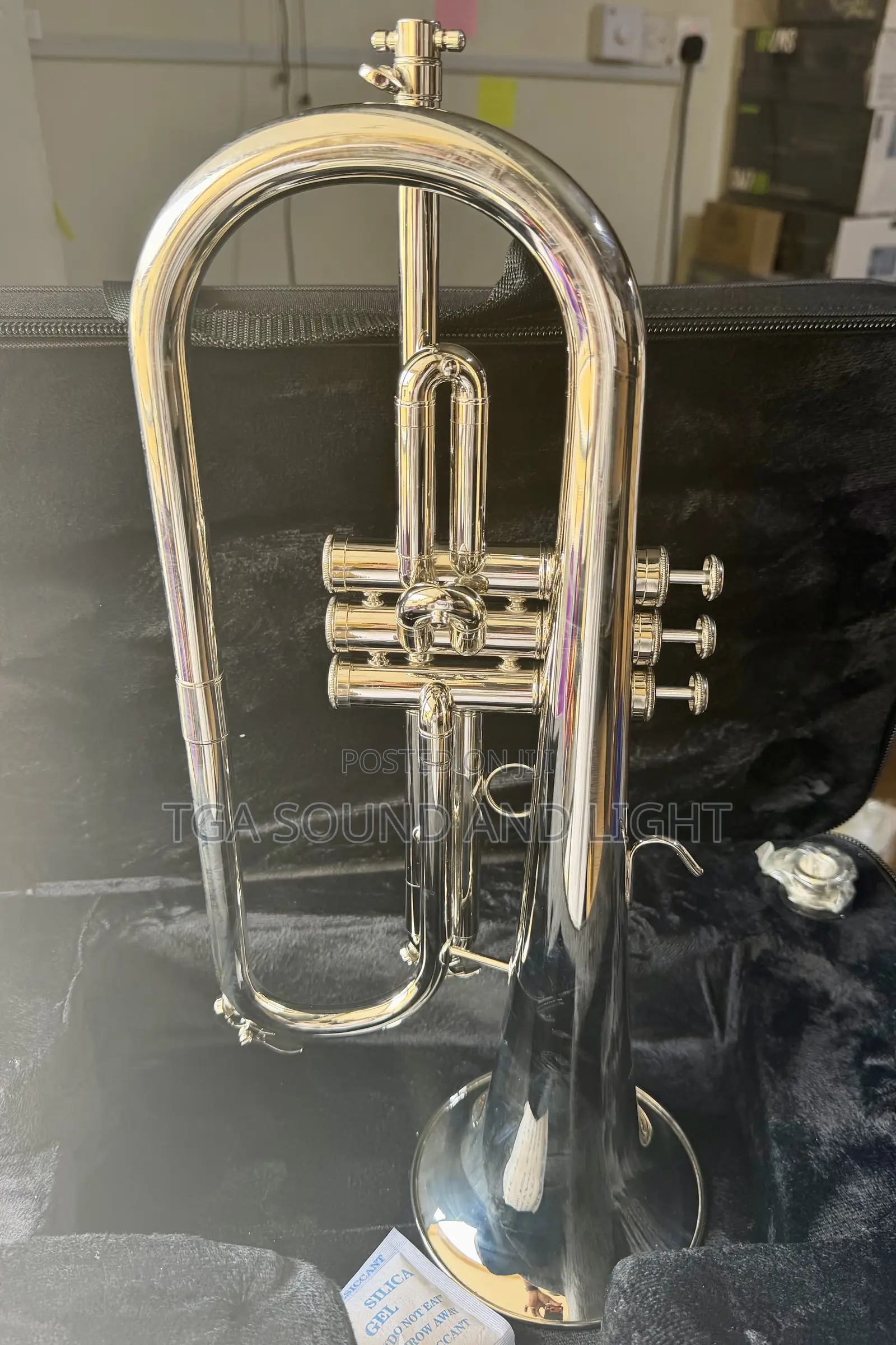 Titanic Usa Yfh-631gs Bb Flugelhorn - Silver
