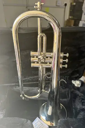 Titanic Usa Yfh-631gs Bb Flugelhorn - Silver