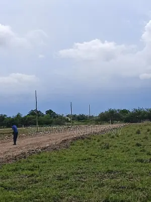 Invest In Profitable Titled Lands