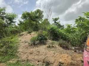 Land at Maase-Adubinsu for Sale