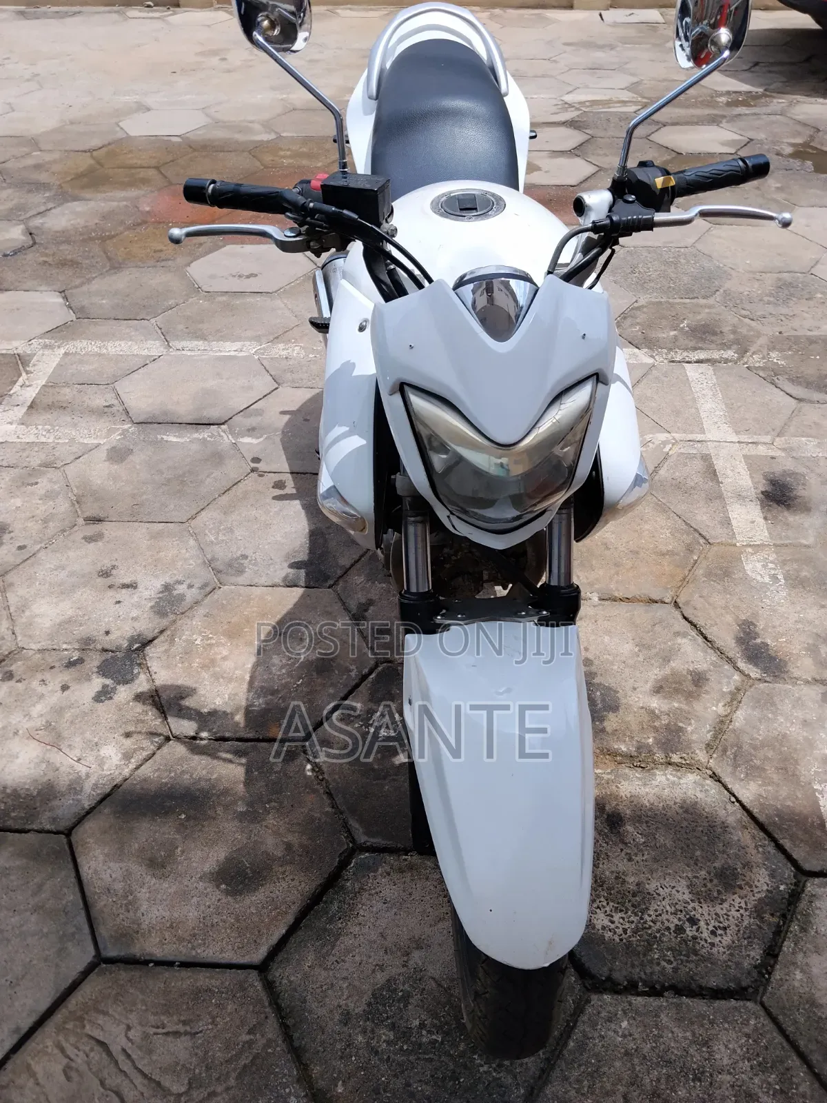 Suzuki 2026 White