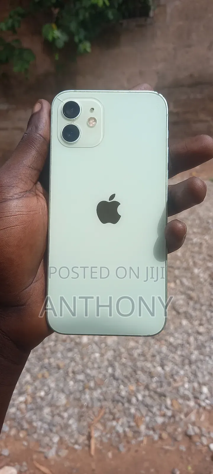 Apple iPhone 12 128 GB Green