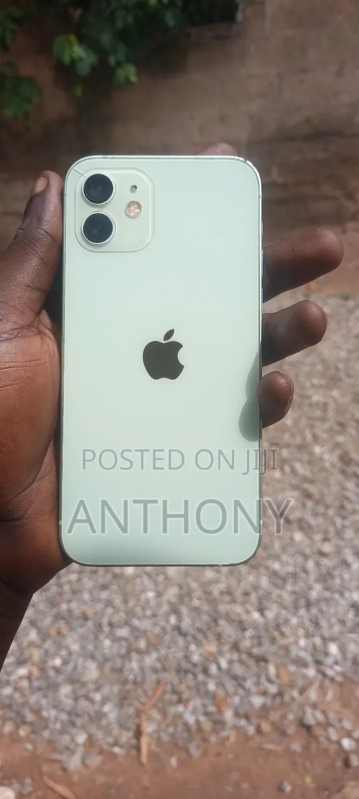 Apple iPhone 12 128 GB Green