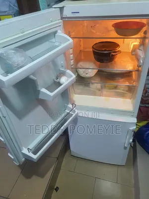 Double Door Fridge