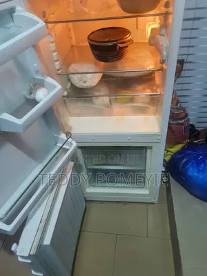 Double Door Fridge