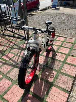 Classic Balance Bikes