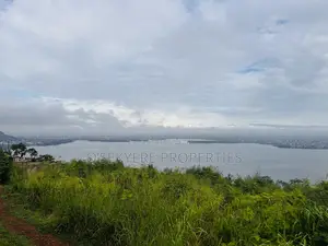 2 Hillside Plots With Stunning Lakeview