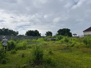2 Hillside Plots With Stunning Lakeview