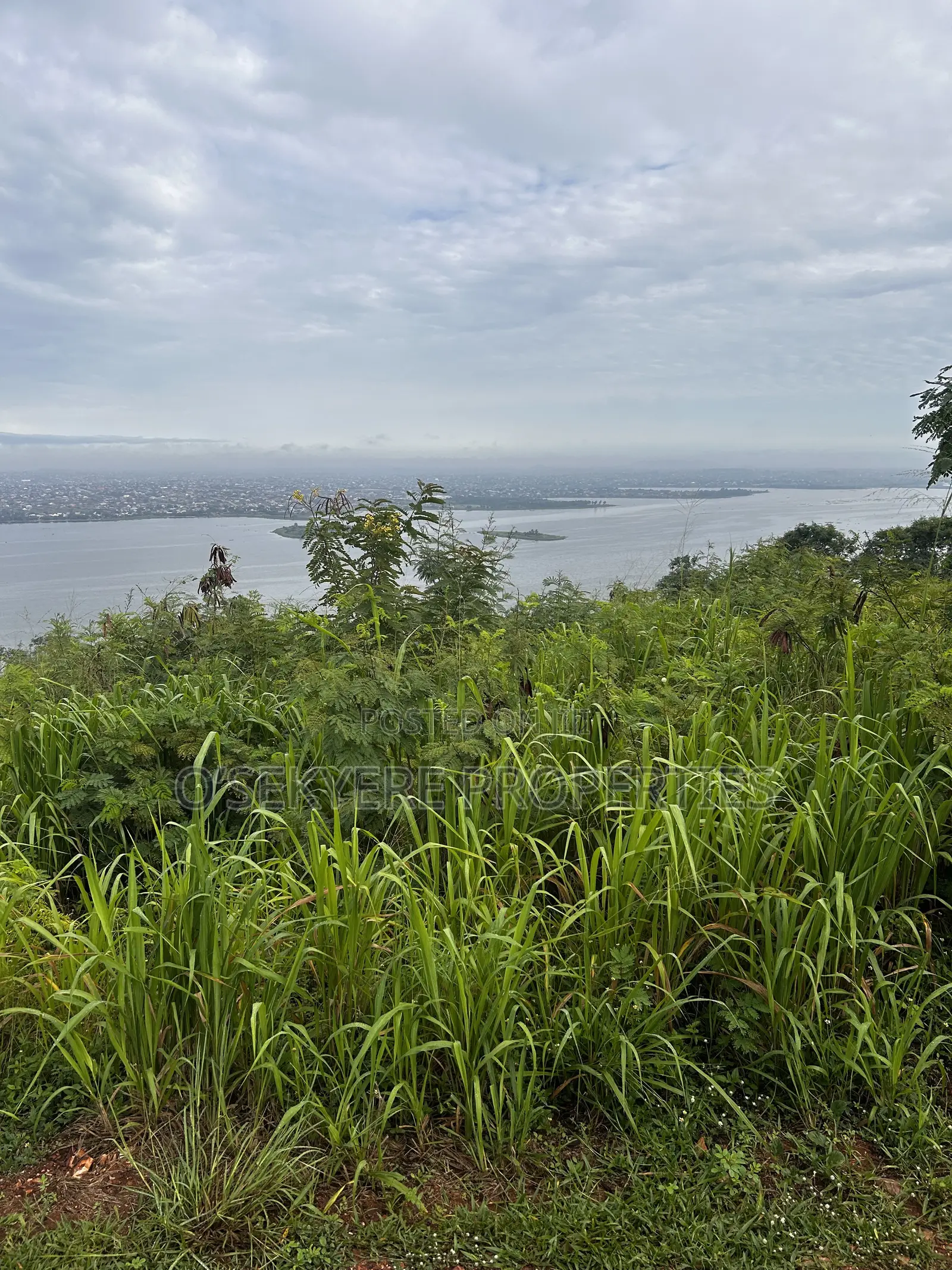2 Hillside Plots With Stunning Lakeview