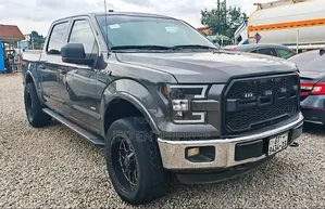 Ford F-150 2016 Gray