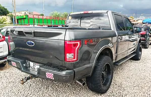 Ford F-150 2016 Gray
