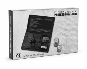 Mini Digital Scale