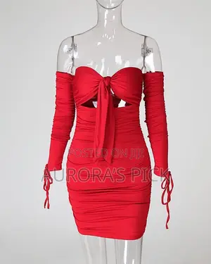 Ladies Bodicon Dress