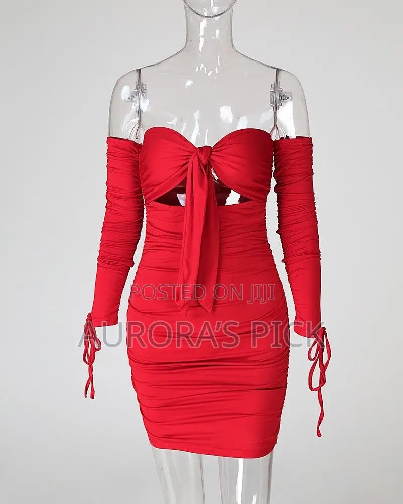 Ladies Bodicon Dress