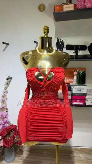 Ladies Bodicon Dress