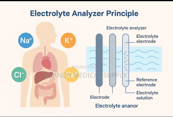 Electrolyte Analyzer