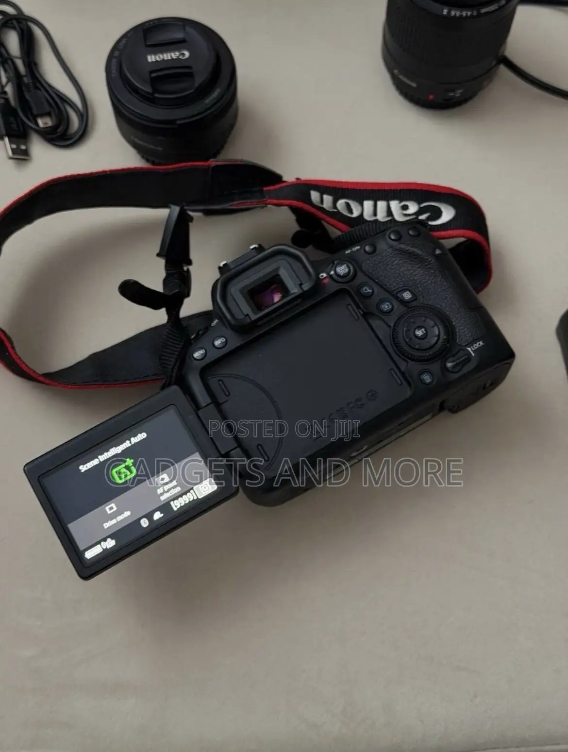 Canon Eos 6d Mark Ii + 2 Lenses