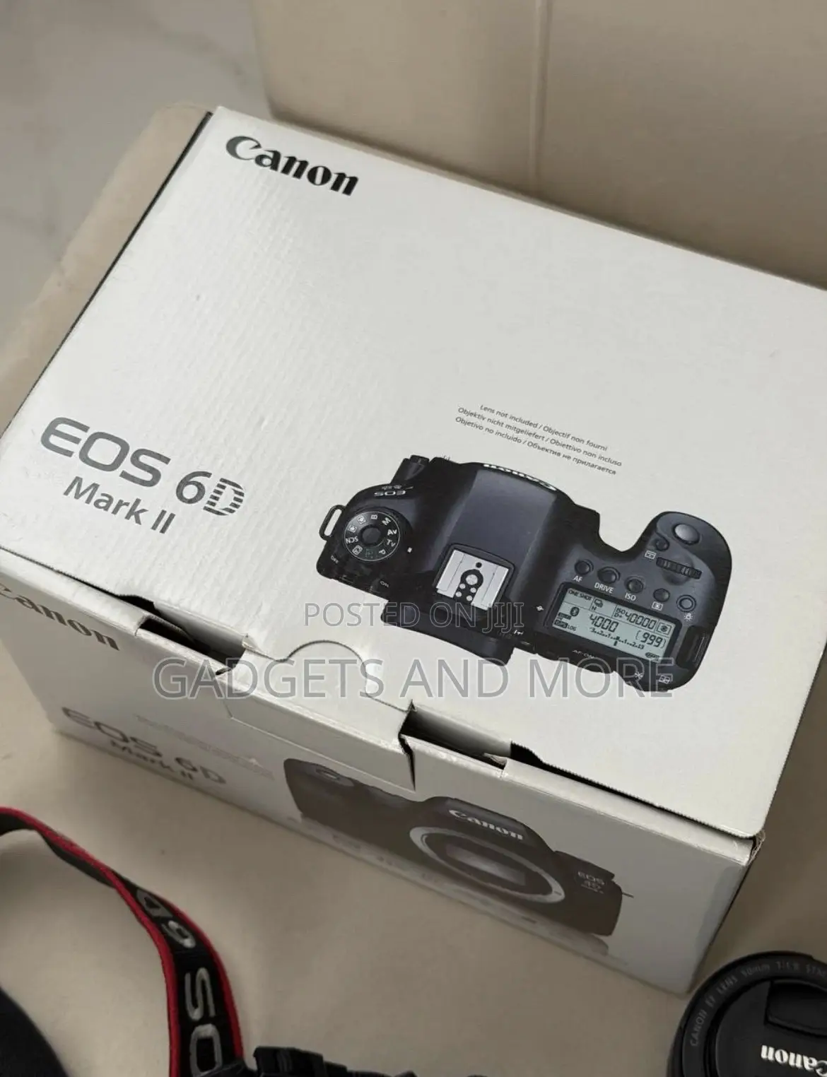 Canon Eos 6d Mark Ii + 2 Lenses