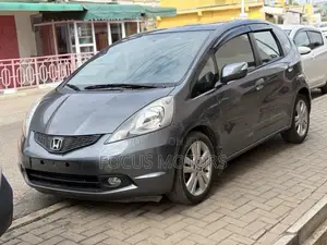 Honda Fit 2010 Gray