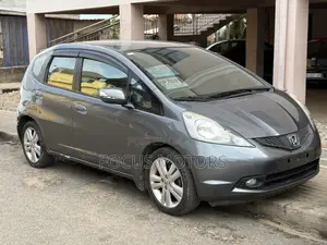 Honda Fit 2010 Gray