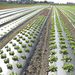 Uv Mulching Film (400m)