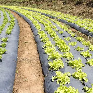 Uv Mulching Film (400m)