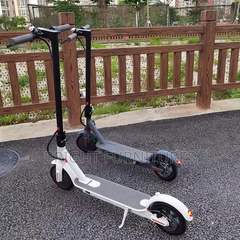 Electric Scooters