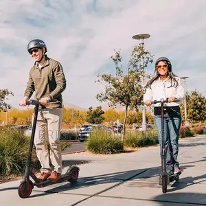 Adult Electric Scooter