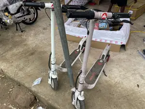 Adult Electric Scooter