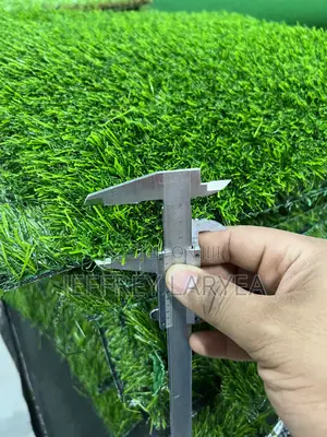 Green Grass Carpet