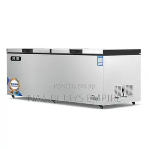 Commercial Deep Freezer 950l
