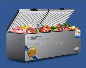 Commercial Deep Freezer 950l