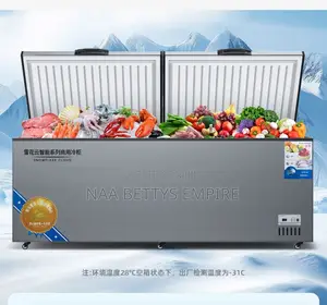 Commercial Deep Freezer 950l