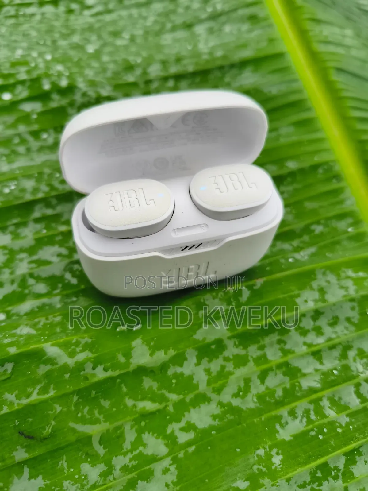 Original JBL Earbuds