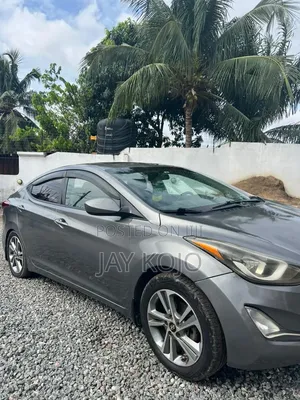 Hyundai Elantra 2014 Gray