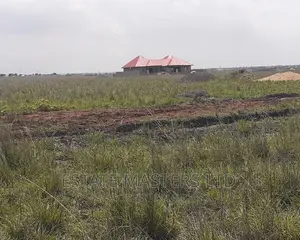 Demarcated Estate Land