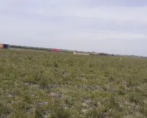 Demarcated Estate Land