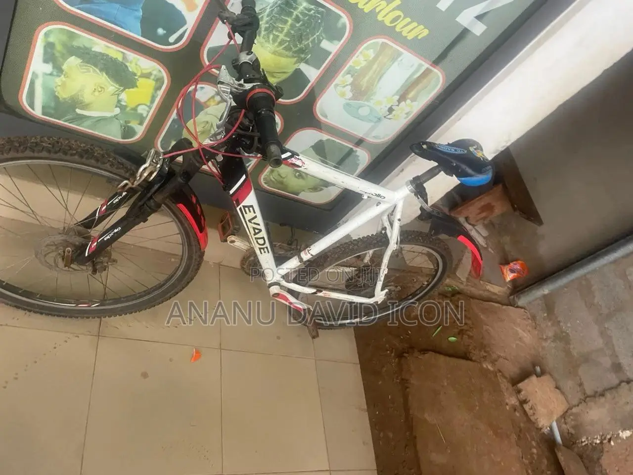 Sport Bicycle