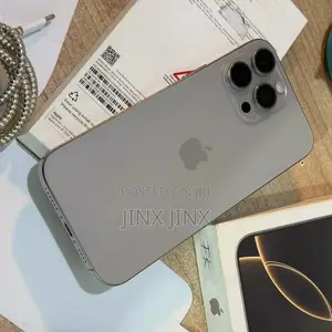 Apple iPhone 16 Pro Max 256 GB Silver