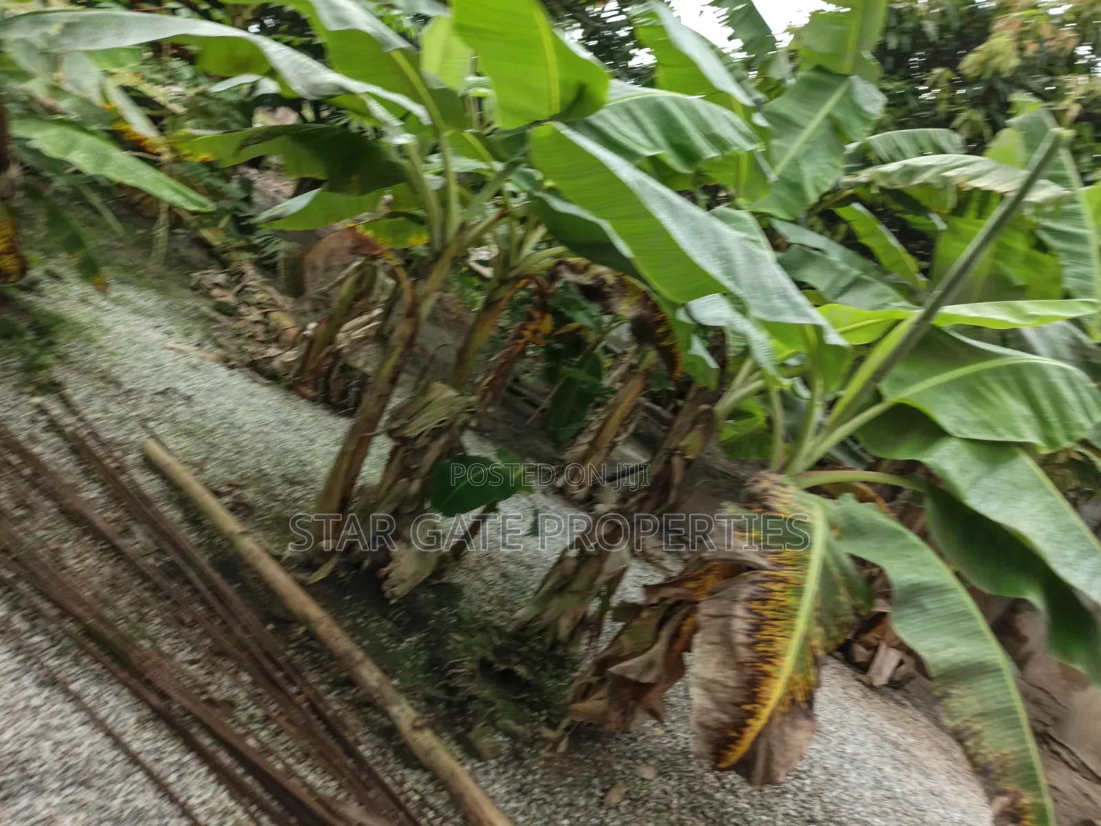 5bdrm House in Santasi Nkoransa, Kumasi Metropolitan for sale