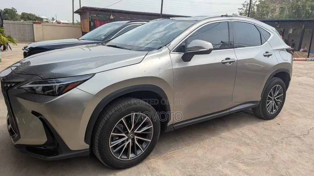Lexus NX 350 AWD 2024 Gray