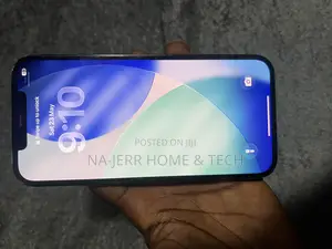 Apple iPhone 12 Pro Max 256 GB Blue
