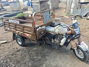 Fast Affordable Tricycle Cargo Delivery