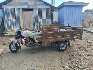 Fast Affordable Tricycle Cargo Delivery