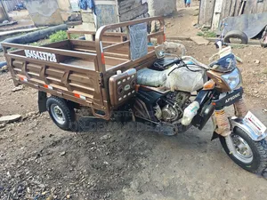 Fast Affordable Tricycle Cargo Delivery